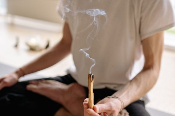 Palo santo: a cosa serve e come si usa - Smuvymood